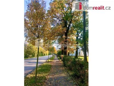Rent apartment 1+KK Libčice nad Vltavou, Letecká č. 22