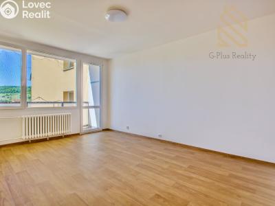 Prodej bytu 2+1 Chomutov, Holešická 4746 č. 2