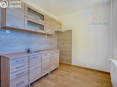 Prodej bytu 2+1 Chomutov, Holešická 4746 č. 3