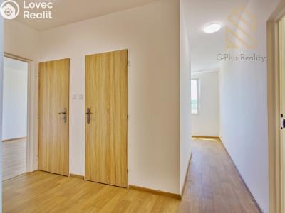 Prodej bytu 2+1 Chomutov, Holešická 4746 č. 4