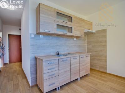 Prodej bytu 2+1 Chomutov, Holešická 4746 č. 6