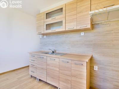 Prodej bytu 2+1 Chomutov, Holešická 4746 č. 9