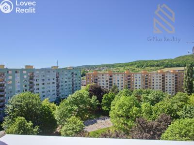 Prodej bytu 2+1 Chomutov, Holešická 4746 č. 19