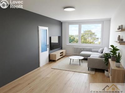 Продажа квартиры 3+1 Rakovník, V Lukách 2159 č. 7