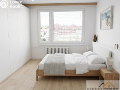 Продажа квартиры 3+1 Rakovník, V Lukách 2159 č. 10