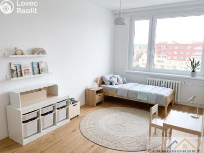 Продажа квартиры 3+1 Rakovník, V Lukách 2159 č. 13