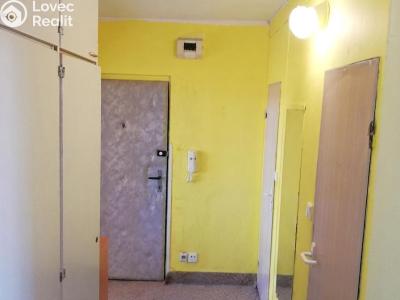Продажа квартиры 3+1 Rakovník, V Lukách 2159 č. 17