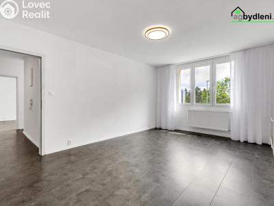 Prodej bytu 2+1 Nepomuk, Na Vinici III. 454 č. 3