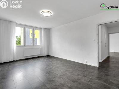 Prodej bytu 2+1 Nepomuk, Na Vinici III. 454 č. 4