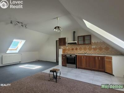 Rent apartment 4+KK Praha č. 6