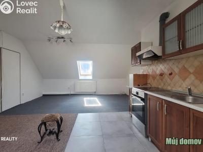 Rent apartment 4+KK Praha č. 12