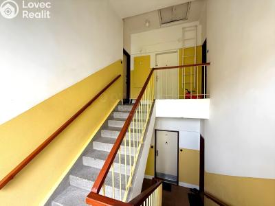 Sale apartment 2+1 Mariánské Lázně, Skalníkova č. 2