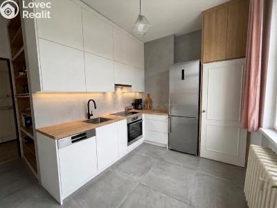 Sale apartment 2+1 Mariánské Lázně, Skalníkova č. 6