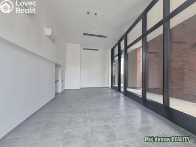 Rent commercial space Praha 3, Žižkov, Hartigova č. 17
