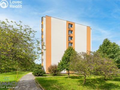 Prodej bytu 1+KK Otrokovice, J. Valčíka č. 11