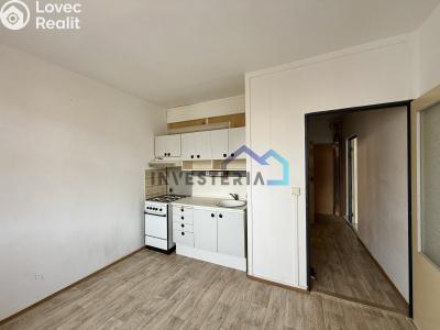 Sale apartment 1+1 Hradec Králové, Kejzlarova č. 3