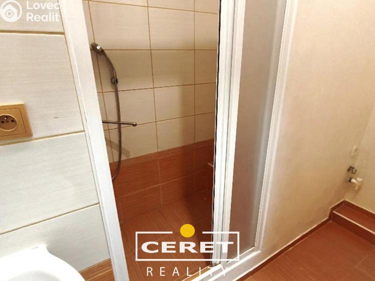 Prodej bytu 2+1 Žatec, Podměstí č. 5