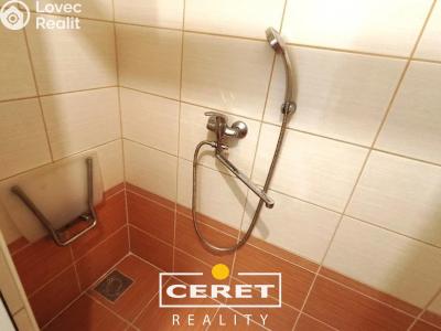 Prodej bytu 2+1 Žatec, Podměstí č. 6