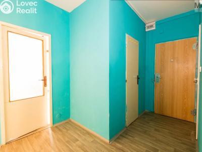 Prodej bytu 2+1 Chomutov, Kostnická 4077 č. 6