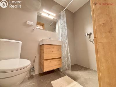 Pronájem ubytovacího zařízení Olšany u Prostějova č. 15