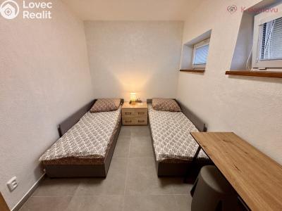 Pronájem ubytovacího zařízení Olšany u Prostějova č. 19