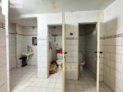 Pronájem obchodního prostoru Teplice, Školní č. 15
