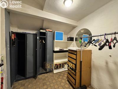 Pronájem obchodního prostoru Teplice, Školní č. 20