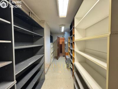 Pronájem obchodního prostoru Teplice, Školní č. 21