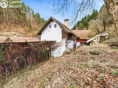 Продажа семейного дома Štěpánov nad Svratkou č. 22