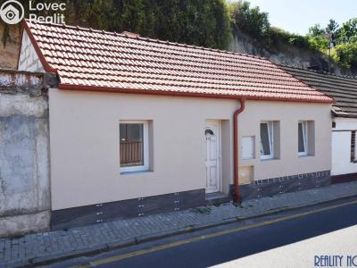 Prodej rodinného domu Roudnice nad Labem, Palackého 373 č. 2
