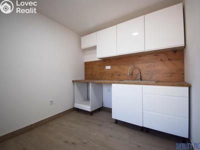 Prodej rodinného domu Roudnice nad Labem, Palackého 373 č. 5
