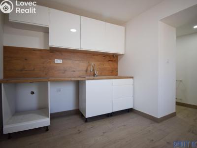 Prodej rodinného domu Roudnice nad Labem, Palackého 373 č. 7