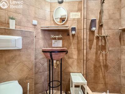 Rent apartment 1+KK Praha, Sokolovská č. 1