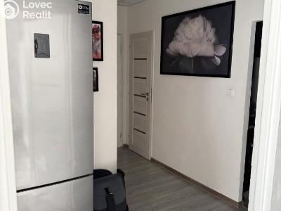 Prodej bytu 3+1 Litvínov, B. Němcové 805 č. 5