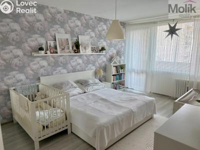 Prodej bytu 3+1 Litvínov, B. Němcové 805 č. 6