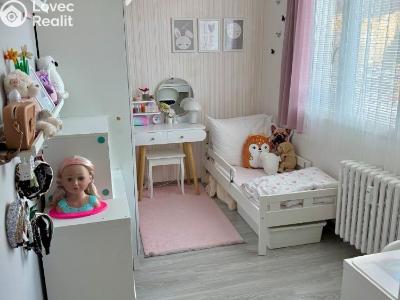 Prodej bytu 3+1 Litvínov, B. Němcové 805 č. 14