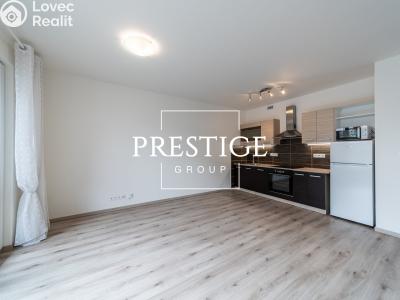Rent apartment 1+KK Praha, Bešťákova č. 3