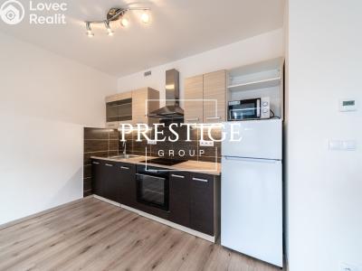 Rent apartment 1+KK Praha, Bešťákova č. 4