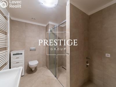 Rent apartment 1+KK Praha, Bešťákova č. 9