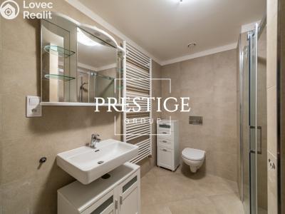 Rent apartment 1+KK Praha, Bešťákova č. 10
