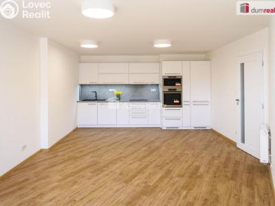 Sale apartment 3+KK Všemina č. 6