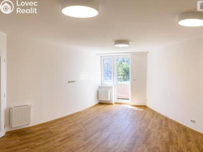 Sale apartment 3+KK Všemina č. 7
