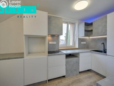 Sale multi-gen house Medlov č. 14
