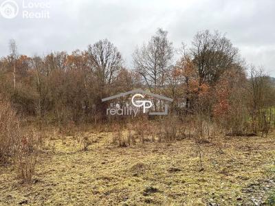 Prodej chalupy Hracholusky č. 22