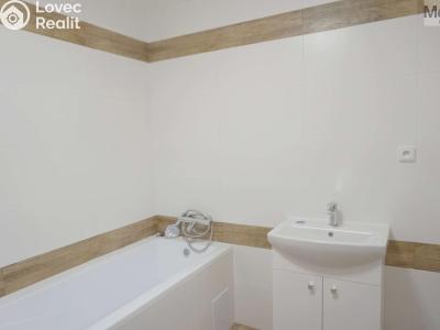 Pronájem bytu 3+KK Litvínov, Tržní 399 č. 16