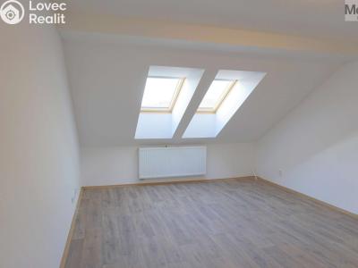 Pronájem bytu 3+KK Litvínov, Tržní 399 č. 5