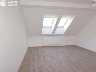 Pronájem bytu 3+KK Litvínov, Tržní 399 č. 6
