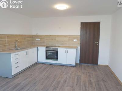 Pronájem bytu 3+KK Litvínov, Tržní 399 č. 1