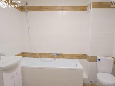 Pronájem bytu 3+KK Litvínov, Tržní 399 č. 18