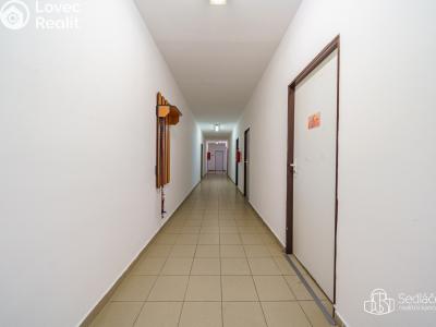 Prodej výrobní haly Krásno, Kladenská č. 17